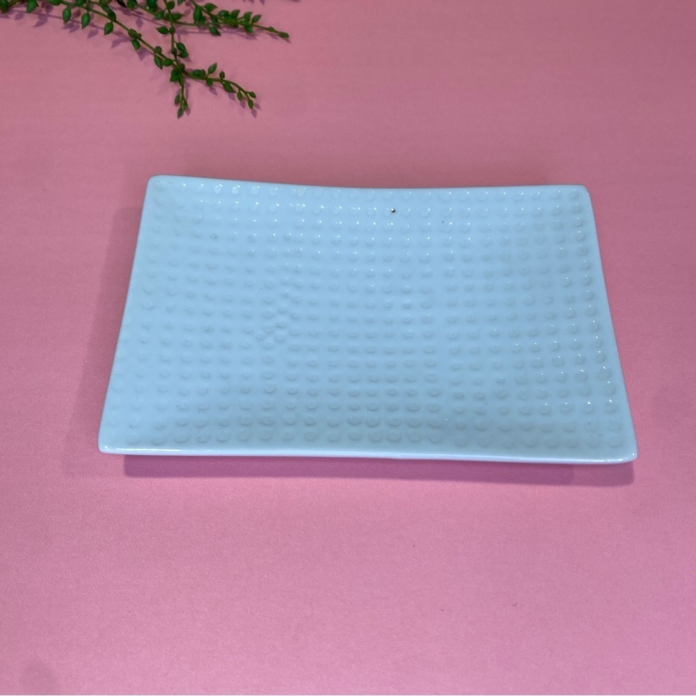 Crate & Barrel White Textured Spotted Rectangular Single Serving Appetizer Plate